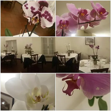 Affittacamere Il Mulino Guest house